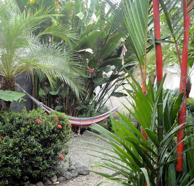 Готель Cabinas Tropicales Пуерот-Хіменес Екстер'єр фото