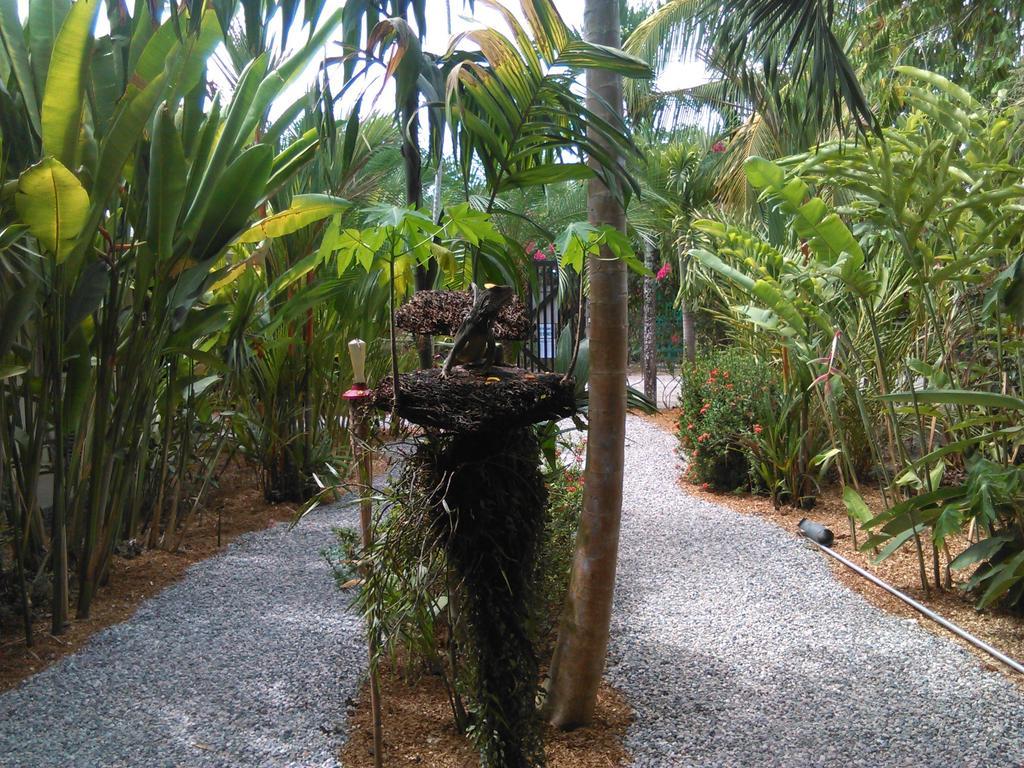 Cabinas Tropicales Пуерот-Хіменес Номер фото
