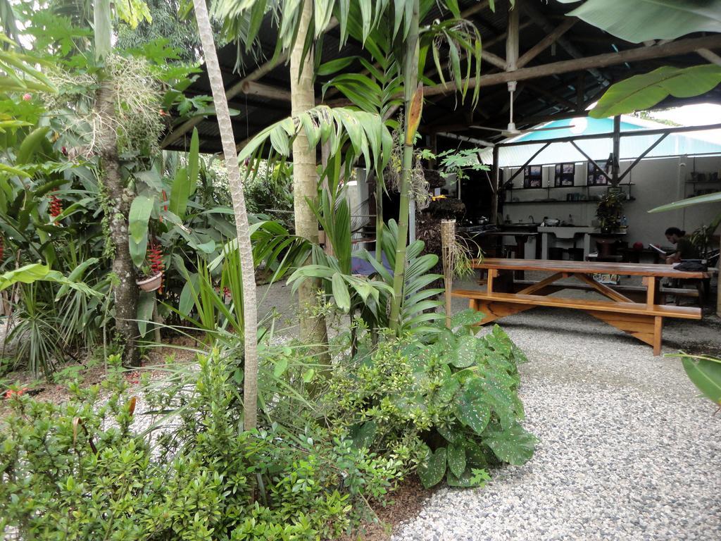 Cabinas Tropicales Пуерот-Хіменес Номер фото