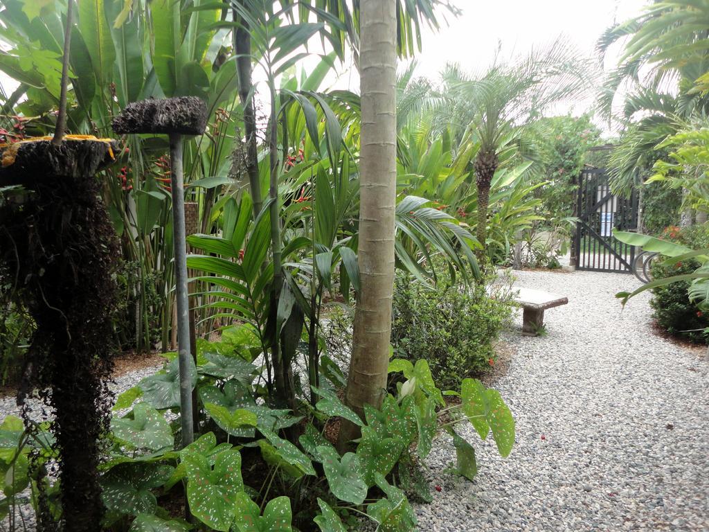 Cabinas Tropicales Пуерот-Хіменес Екстер'єр фото