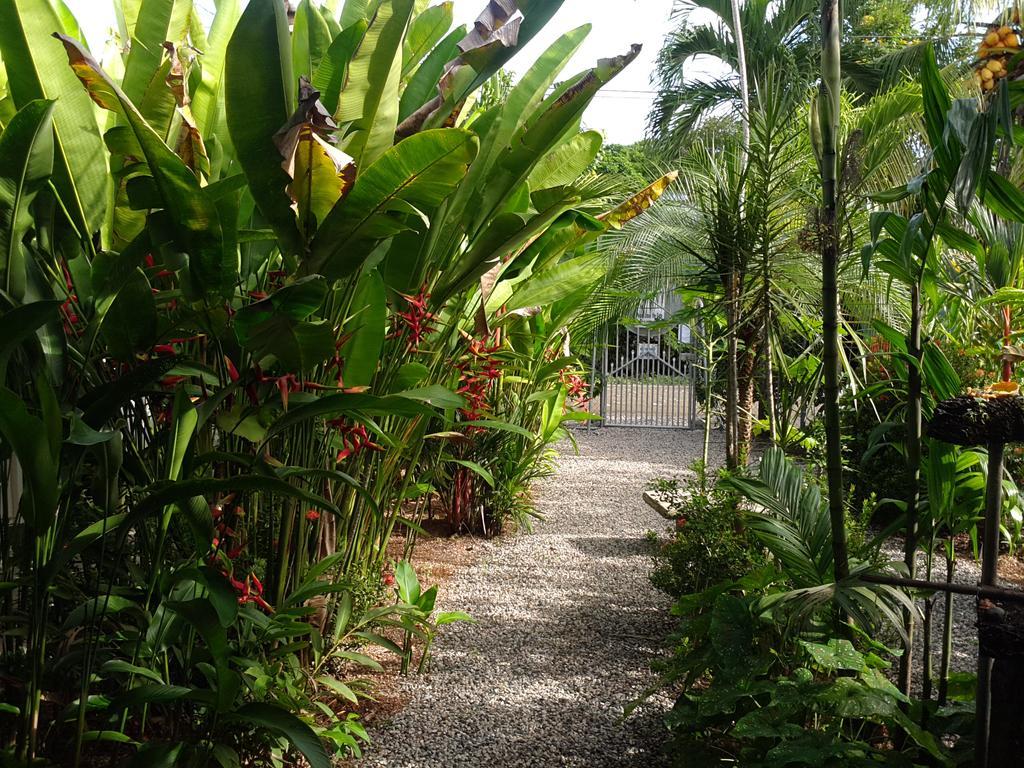 Cabinas Tropicales Пуерот-Хіменес Екстер'єр фото
