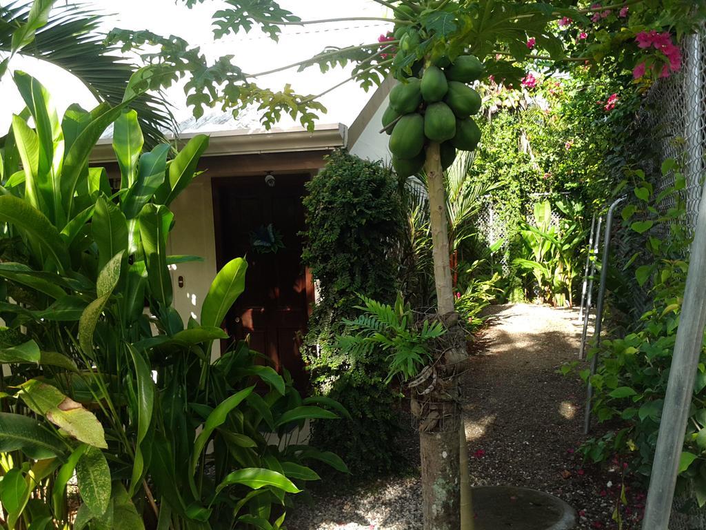 Cabinas Tropicales Пуерот-Хіменес Екстер'єр фото