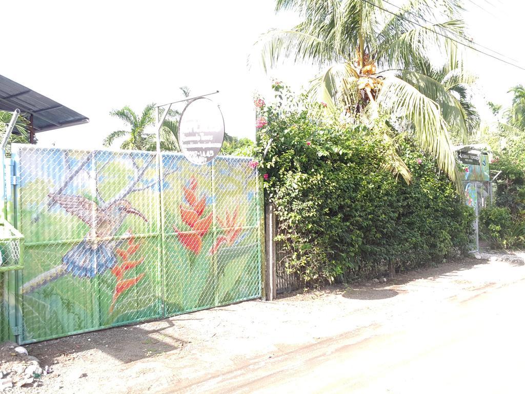 Cabinas Tropicales Пуерот-Хіменес Екстер'єр фото