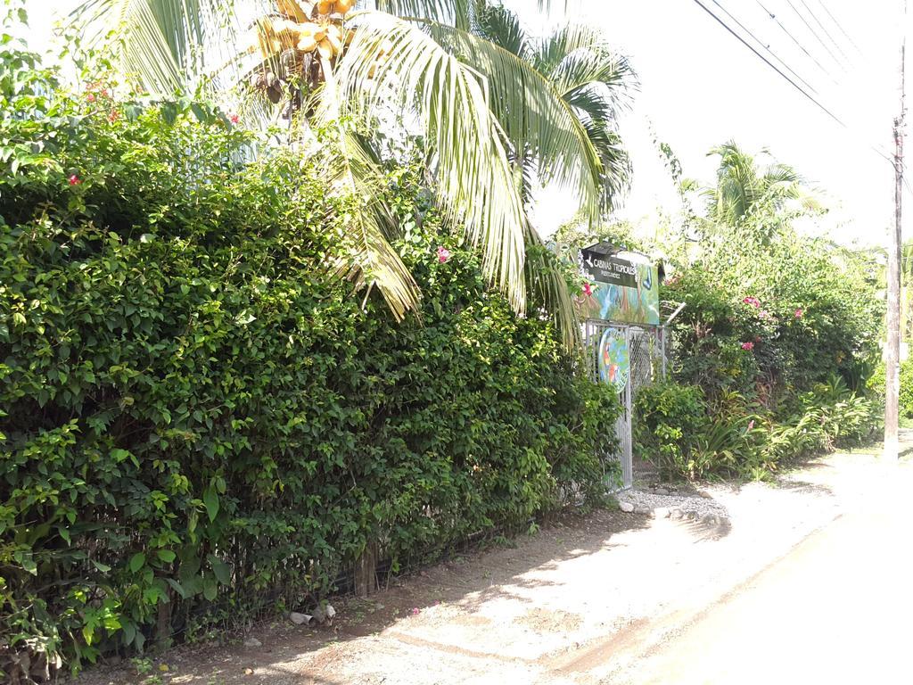 Cabinas Tropicales Пуерот-Хіменес Екстер'єр фото